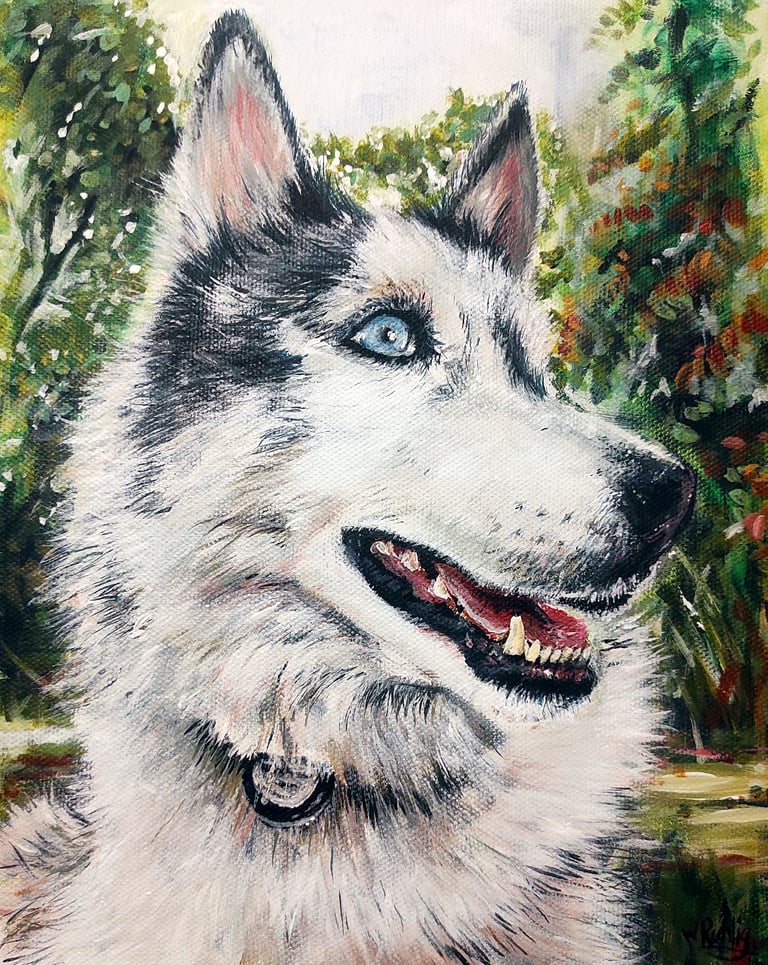 A pet portrait of a happy looking husky in expressive acrylic colours