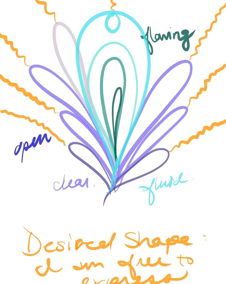 drawing of desired somatic shape embodiment