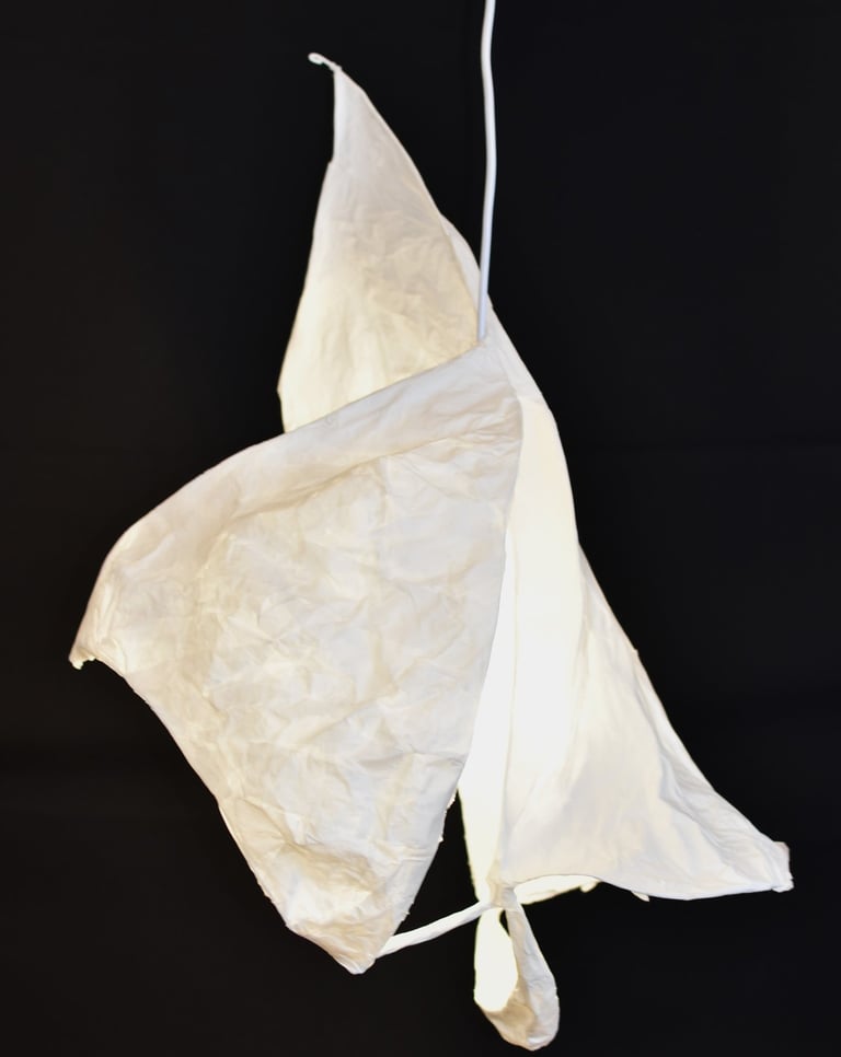 voile latine suspension lumineuse papier Sète