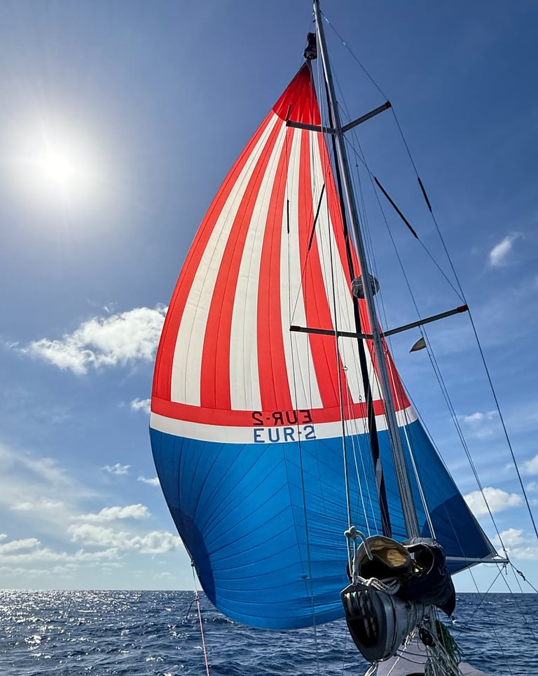 Unter Spi der Sonne entgegen