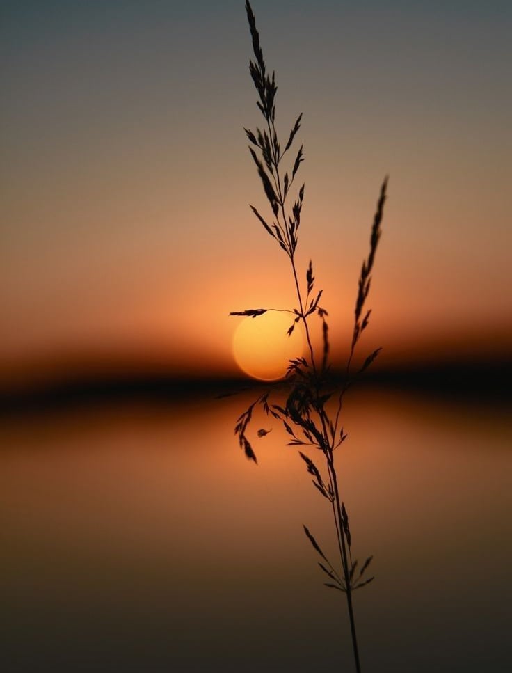 summer sun