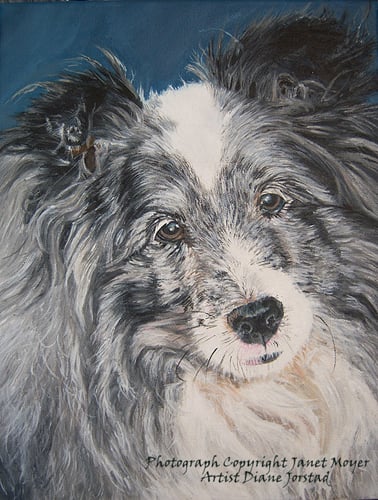 pet  dog portrait artist art painting from your custom photograph acrylic / oil