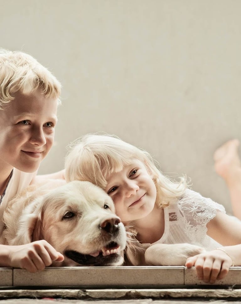 Family trained dogs for adoption