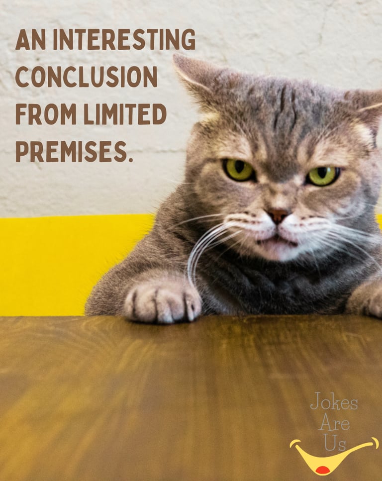 A cat sits on a table beside a text that reads, "An interesting conclusion from limited premises."