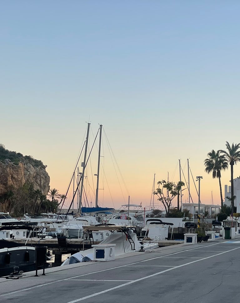 Casa Nalu and Marina del Este
