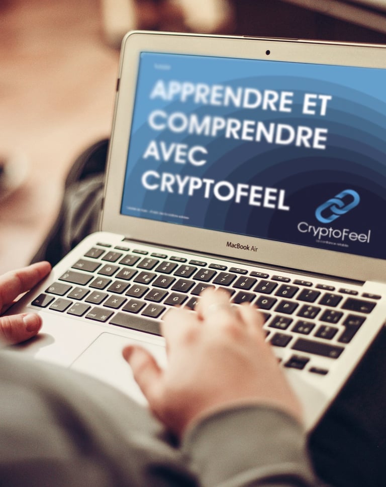 Rendu d un tutoriel de formation CryptoFeel sur ordinateur