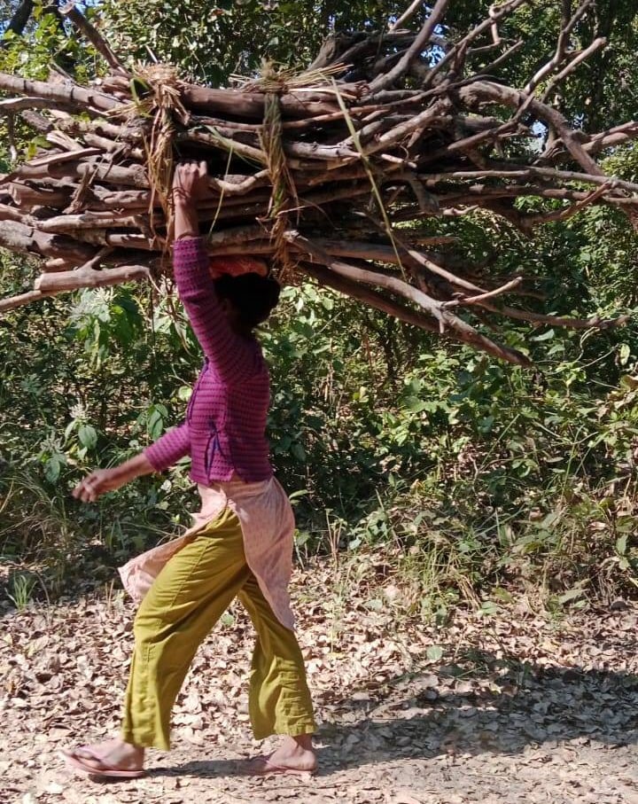 woman collecting wood in Thakurdwara