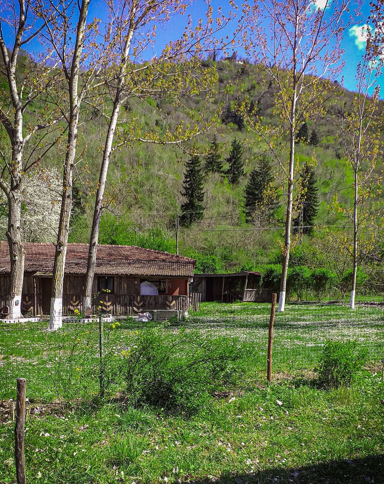 Maçka Doğal Turizim
