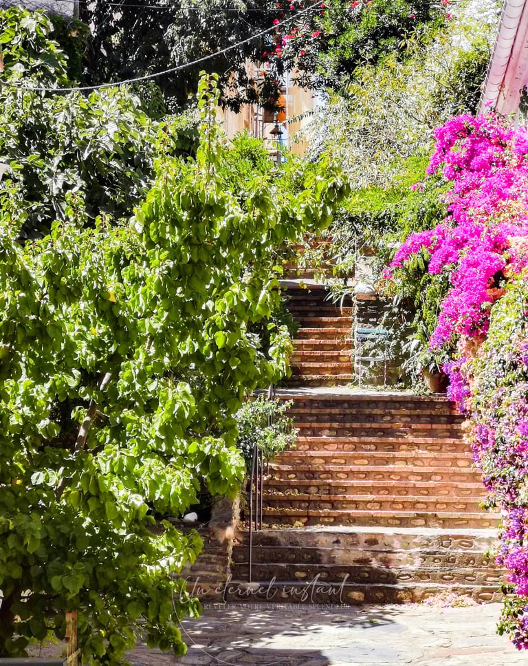 street photographie - photo de rue - un eternel instant - photographe portrait bas rhin