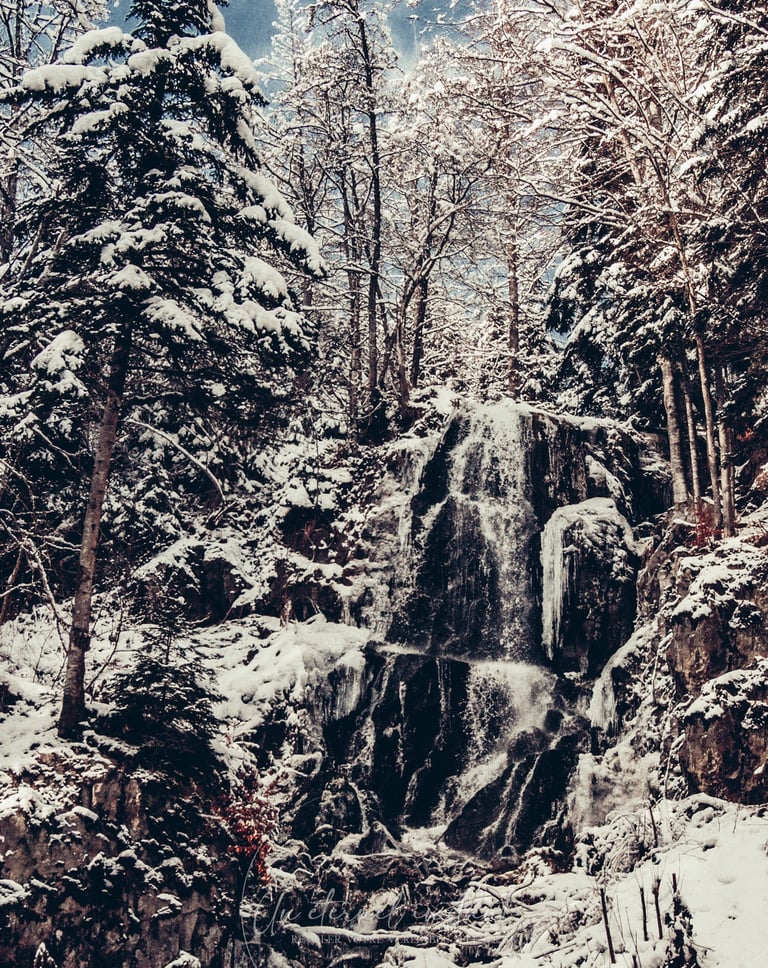 street photographie - photo de rue - un eternel instant - photographe portrait bas rhin