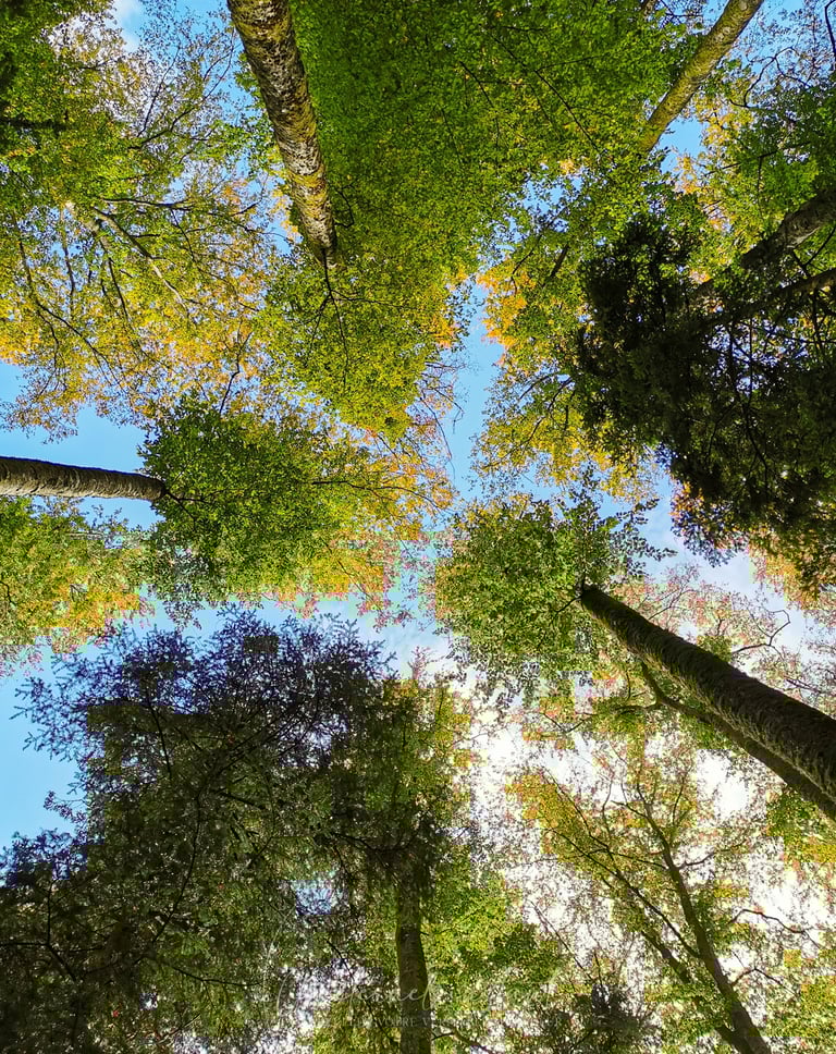 street photographie - photo de rue - un eternel instant - photographe portrait bas rhin