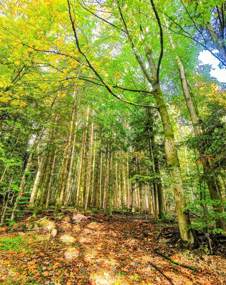 street photographie - photo de rue - un eternel instant - photographe portrait bas rhin