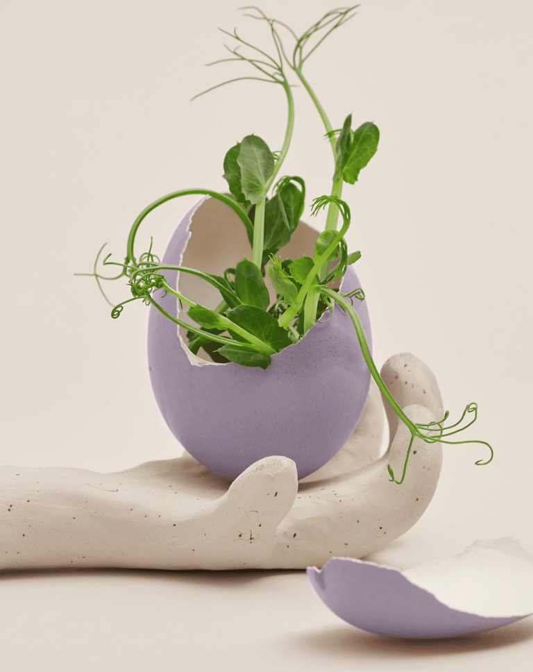 Nieuw begin na doorbreken systemische patronen onderwijs.