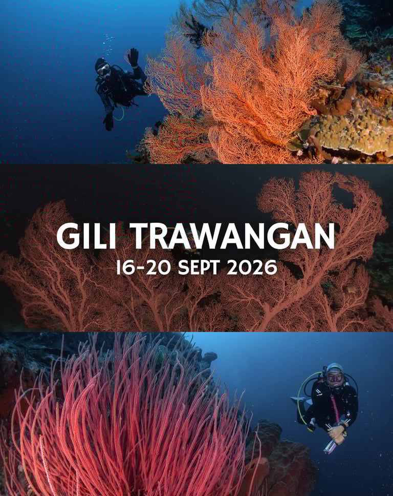 Orca Dive Team Gili Trawangan Trip