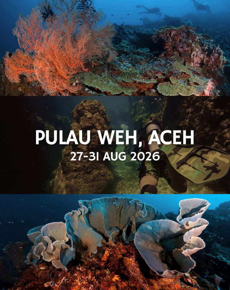 Orca Dive Team Pulau Weh Trip 