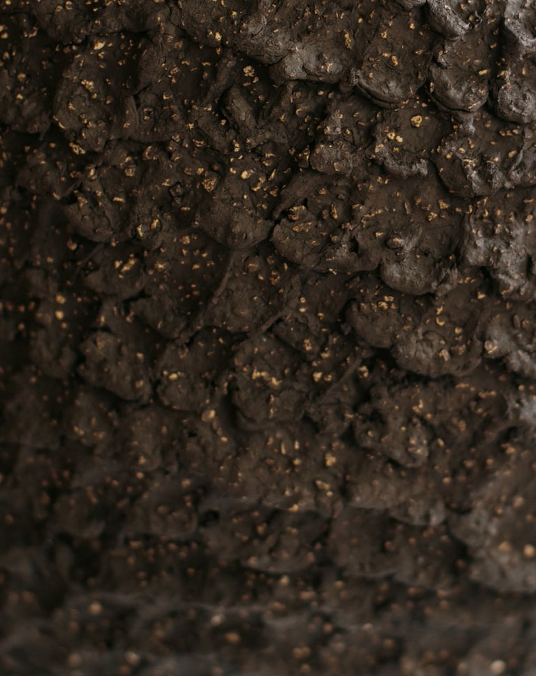 Détail d'une sculpture en grès noir modelée artisanalement par Sabine Segura