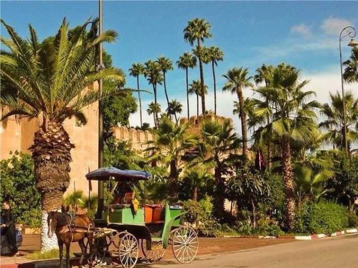 a horse drawn carriage in front of a building in taroudant