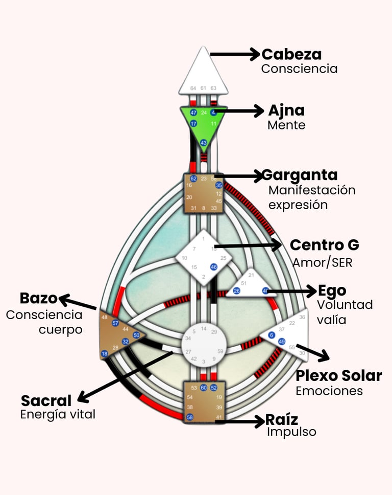 Carta diseño humano