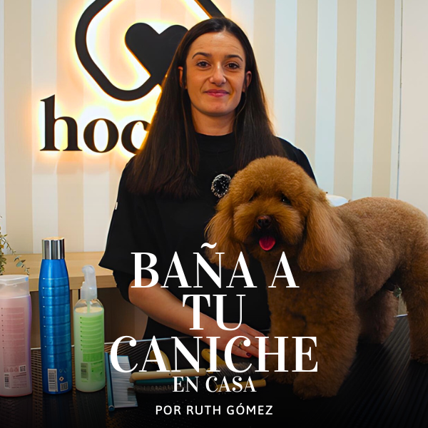 curso peluquería canina en zaragoza