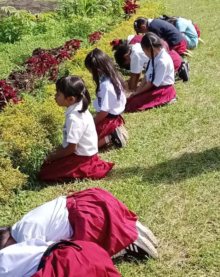 a group of children praying on the grass