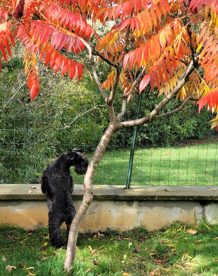 Tara , notre petite curieuse