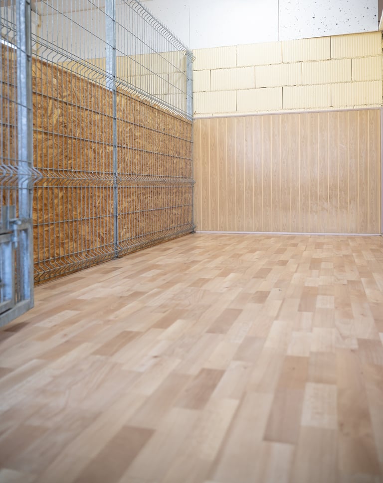 stovyklos kambarys, kuriame poilsiauja šunys