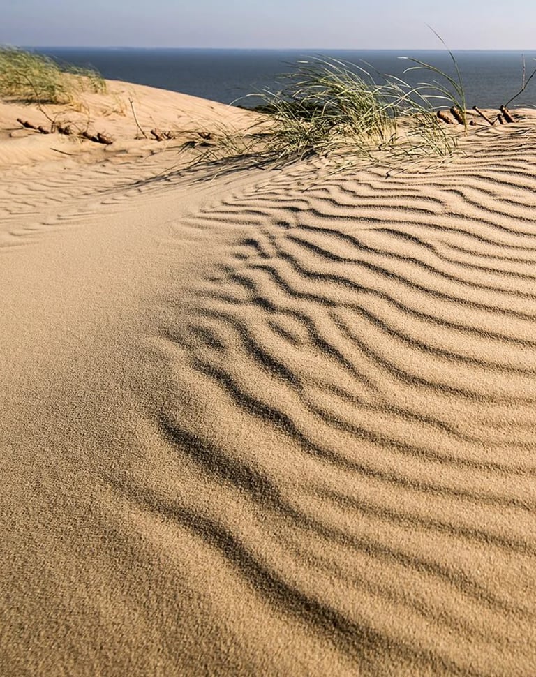 ThetaHealing mokymai Bazinis DNR - smėlio kopos pajūryje