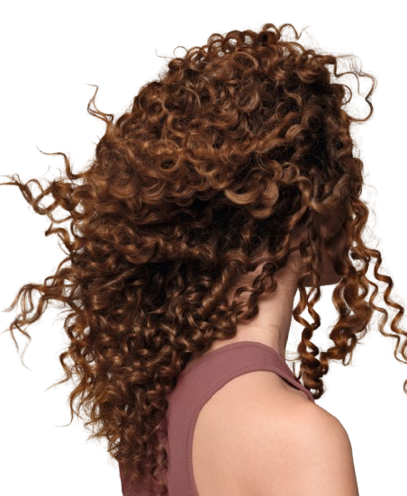 Hair model