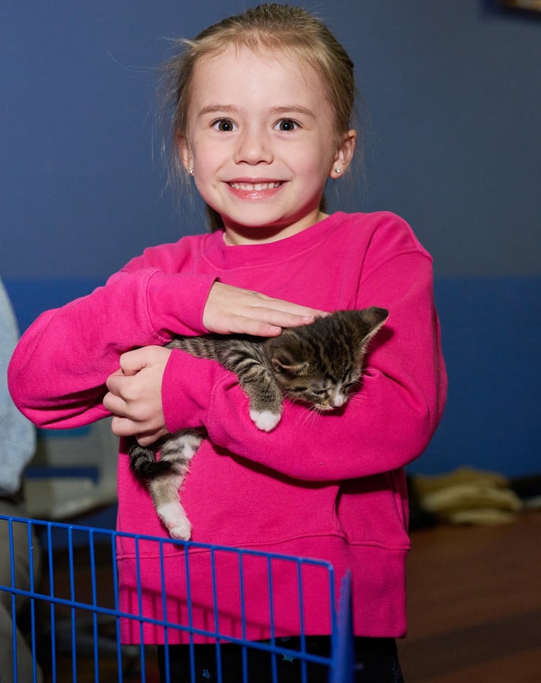 a young girl in pink sweat shirt holding a kitten