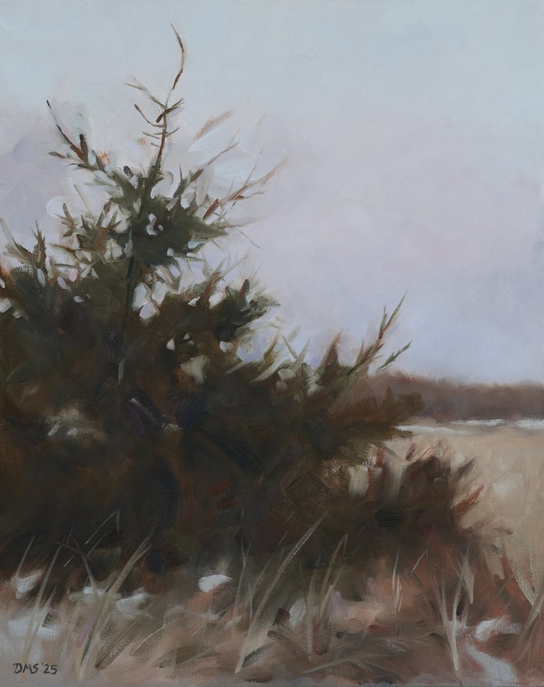 Spruce at Oxner's Beach - Painting by David Shimp