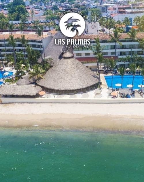 Hotel las Palmas viajes a puerto vallarta desde morelia