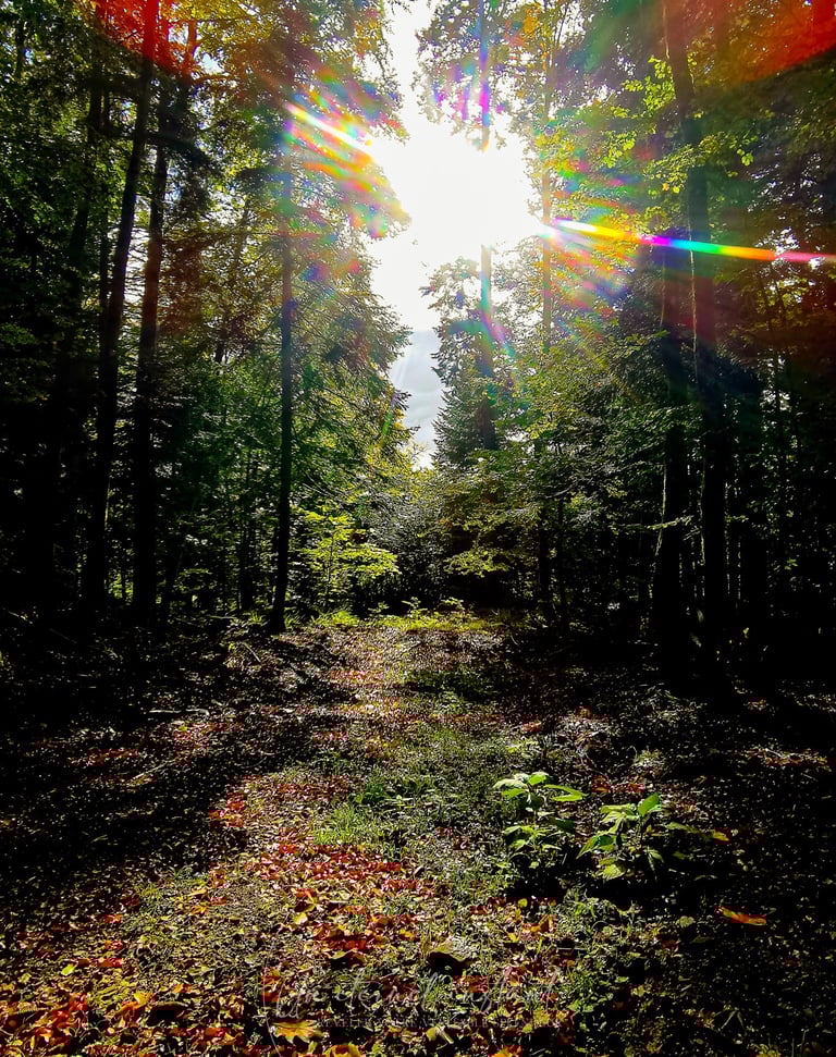 street photographie - photo de rue - un eternel instant - photographe portrait bas rhin