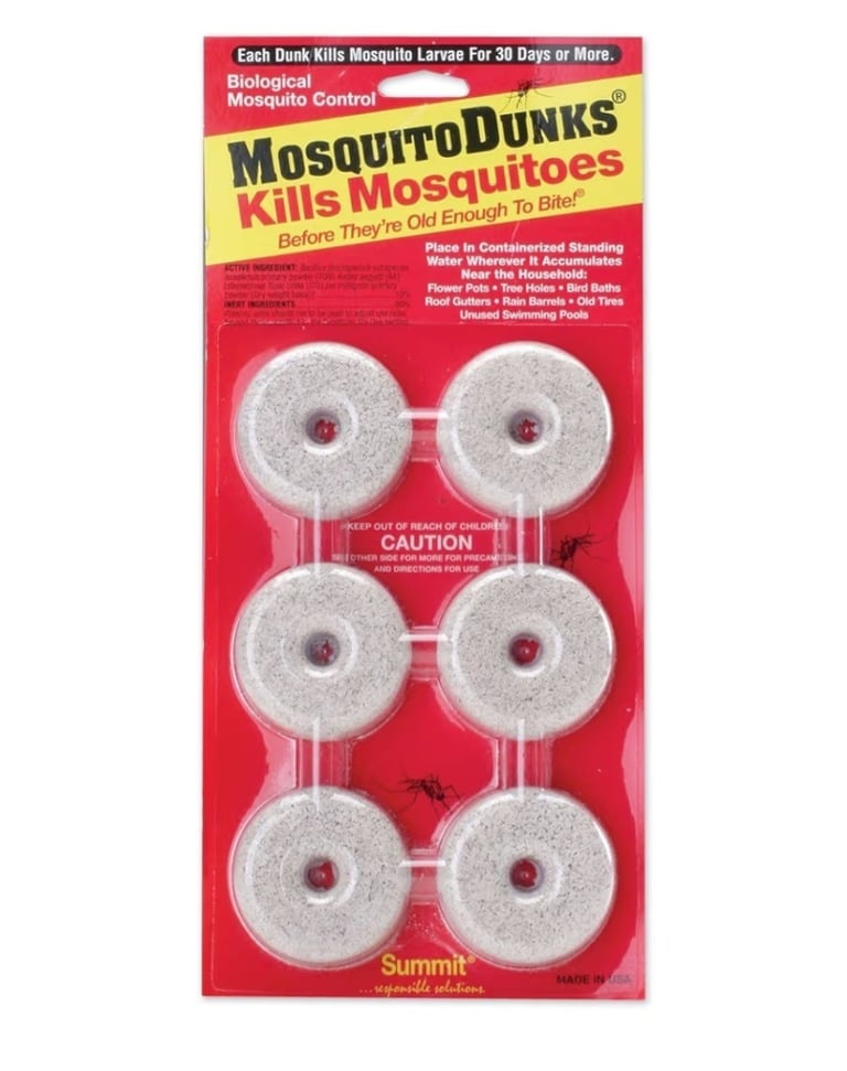mosquito dunks in watering can to kill fungus gnat larvae in houseplant soil naturally