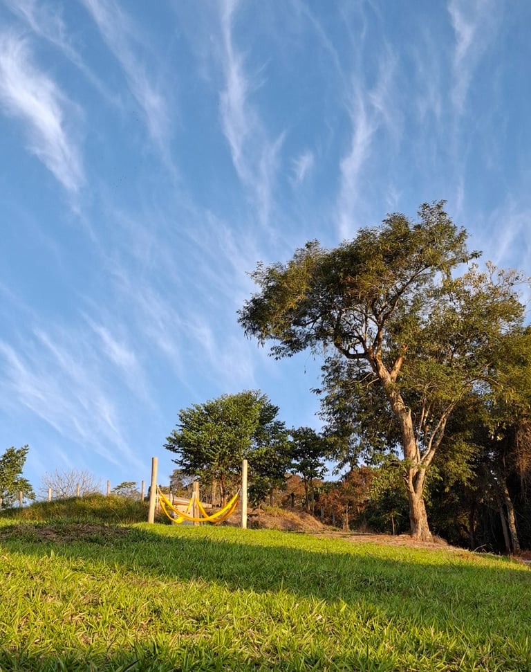 Fim de tarde com céu azul e nuvens riscadas