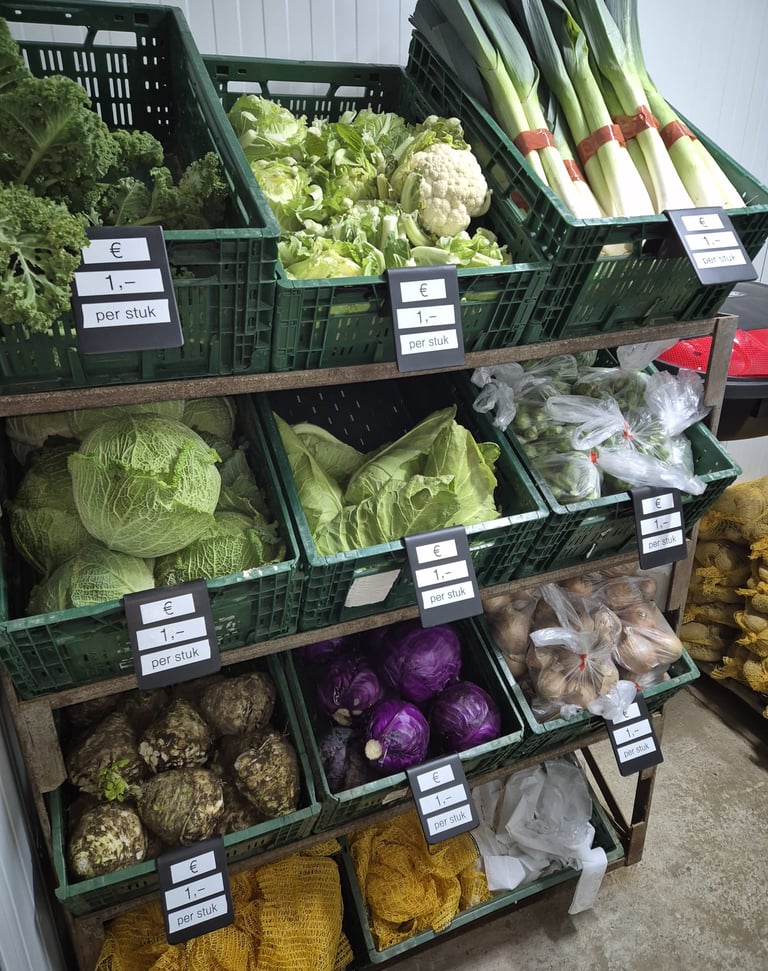 Verse groenten liggen netjes in de schappen van de boerderijwinkel Hoeve Dinjens in Maastricht