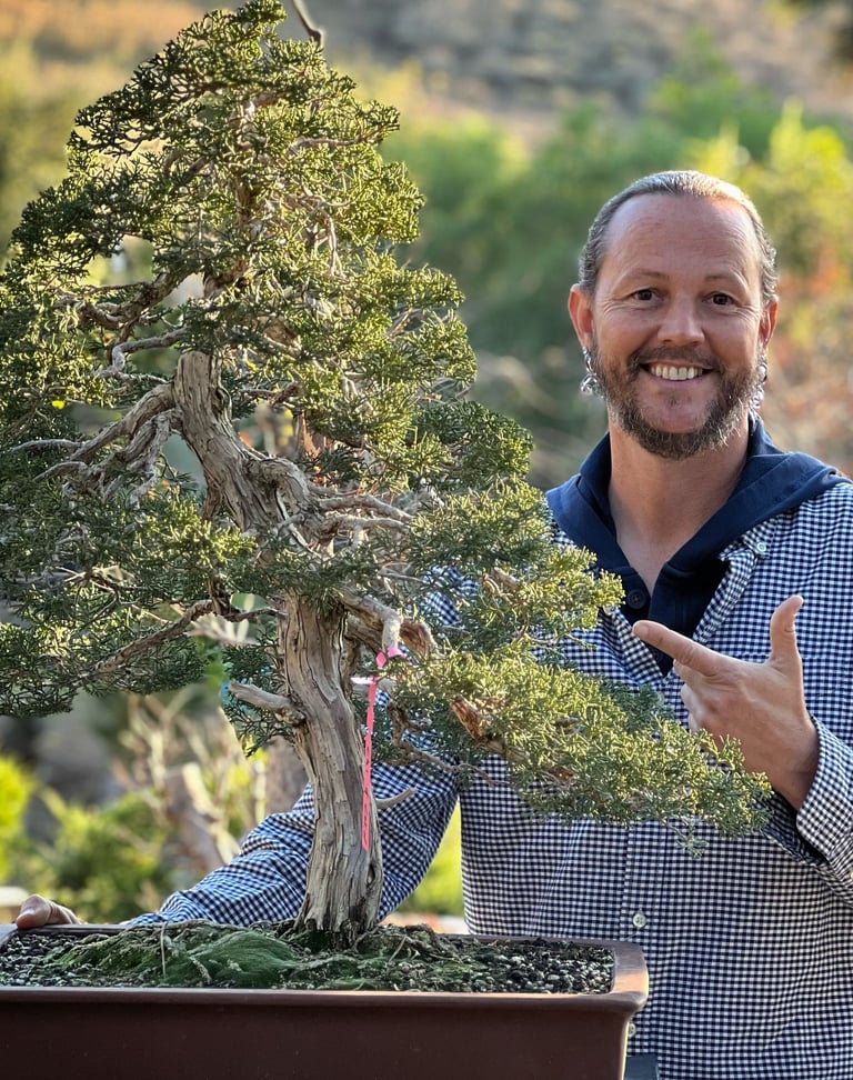 Colin Fraser Purcell stands with his Japanese Shimpaku Specimen Bonsai Tree