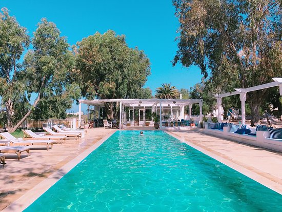 a pool with lounge chairs and a swimming pool