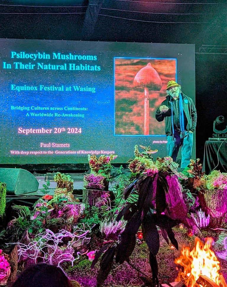Mycologist Paul Stamets presents on psilocybin mushrooms in their natural habitats at Equinox Festival 2024.