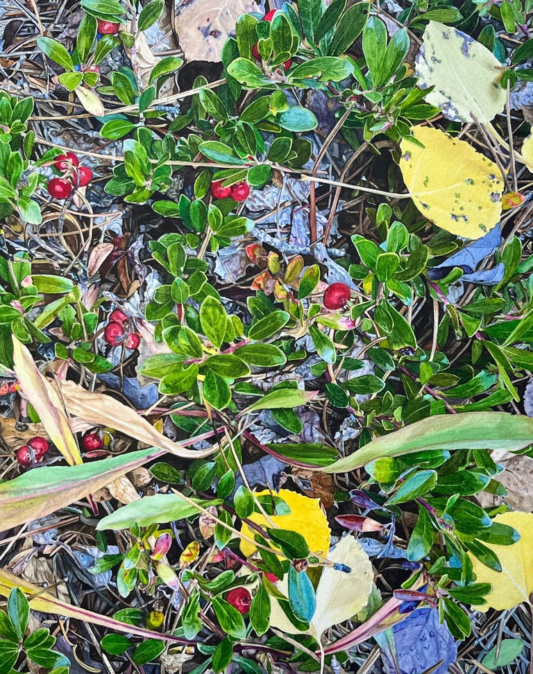 leaves, sticks, berries