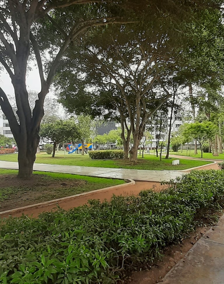 Parques amplios