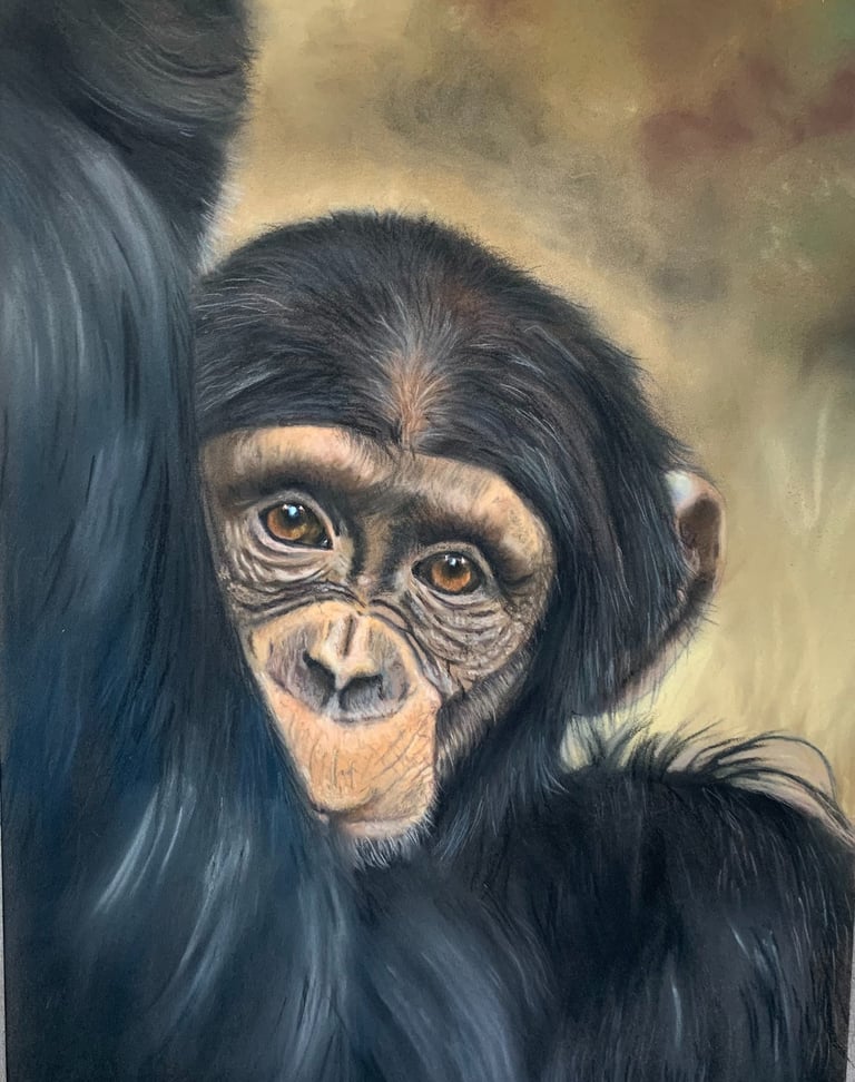 Maternal Love - Chimp and Mum