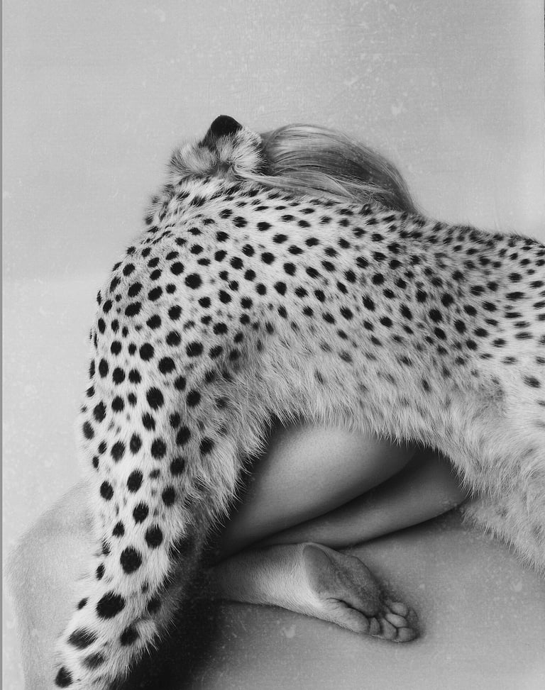 Agne Gintalaite, Circulation(s), Paris