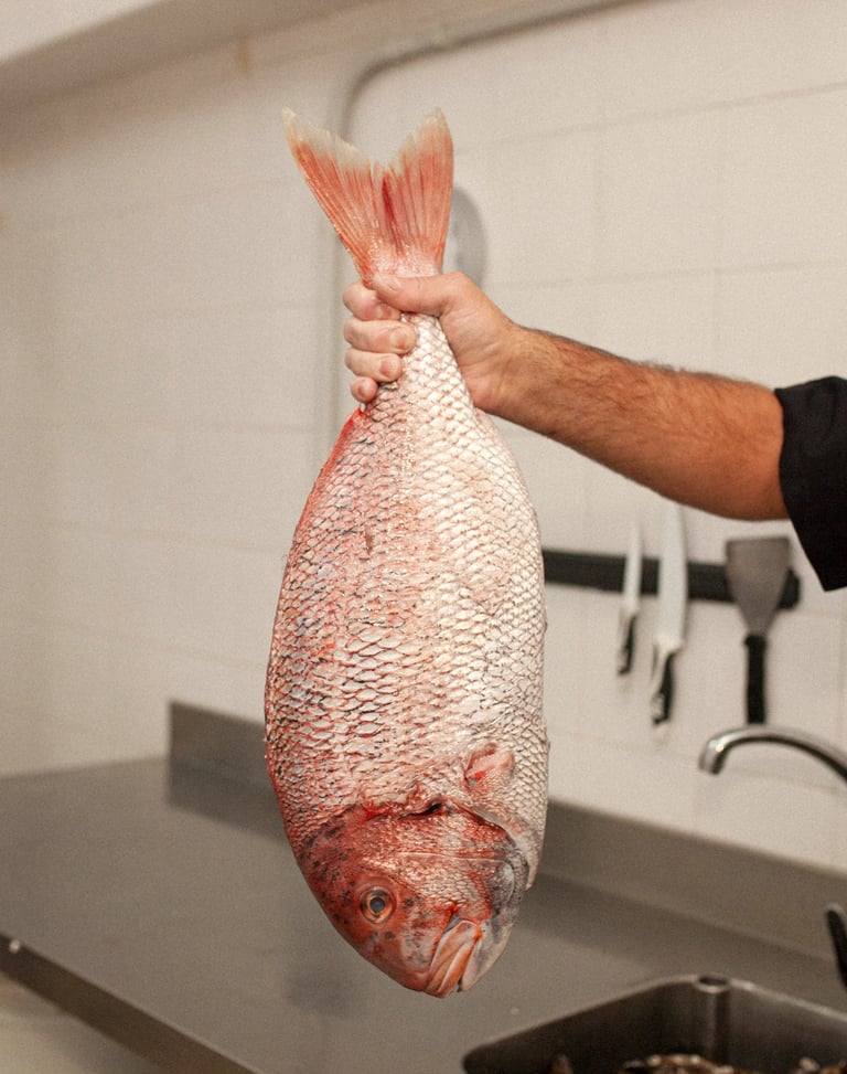 Pescado fresco para disfrutar entre amigos de un suculento plato de gastronomía de primer nivel    