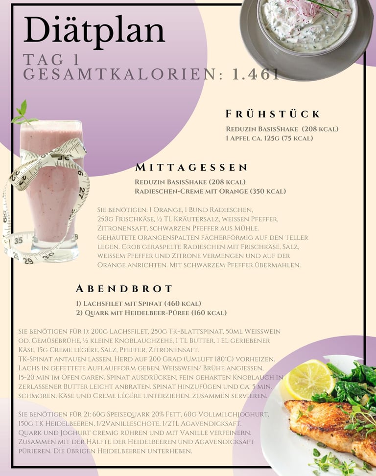 helenas diaetshop diaetplan für 1 woche mit reduzin diaetshake und mischkostmahlzeiten tag 1
