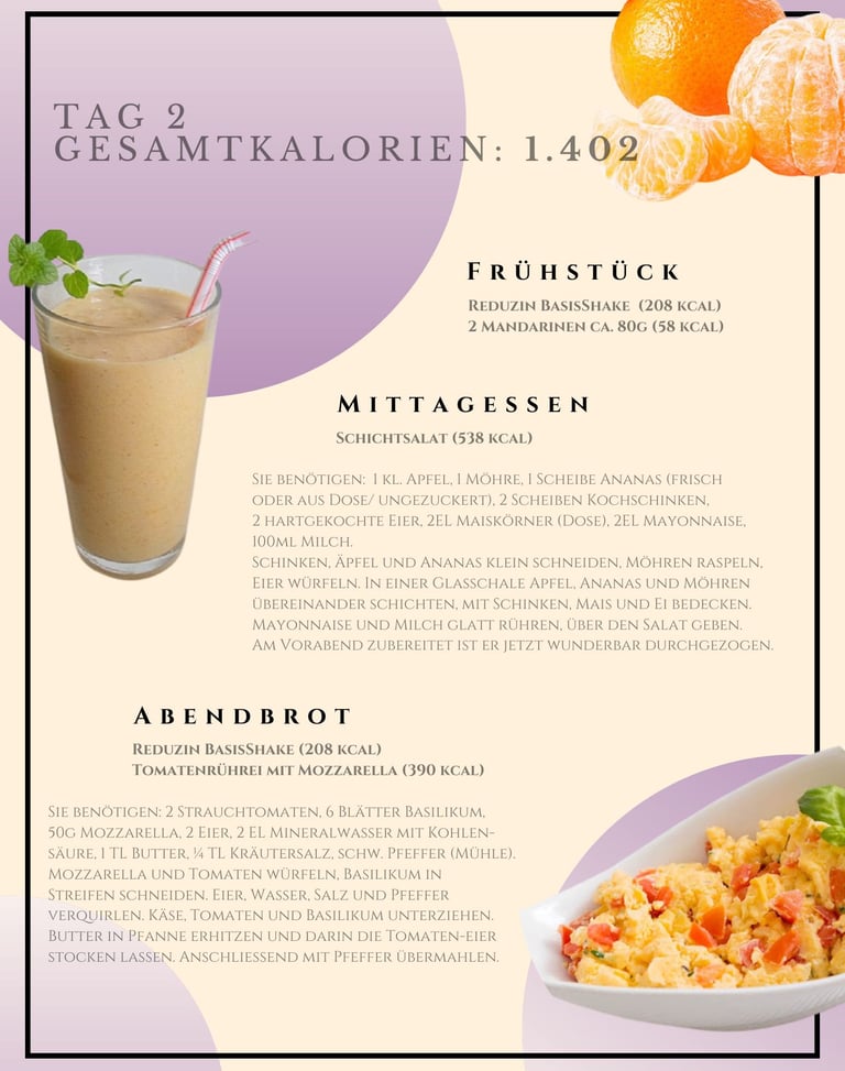 helenas diaetshop diaetplan für 1 woche mit reduzin diaetshake und mischkostmahlzeiten tag 2