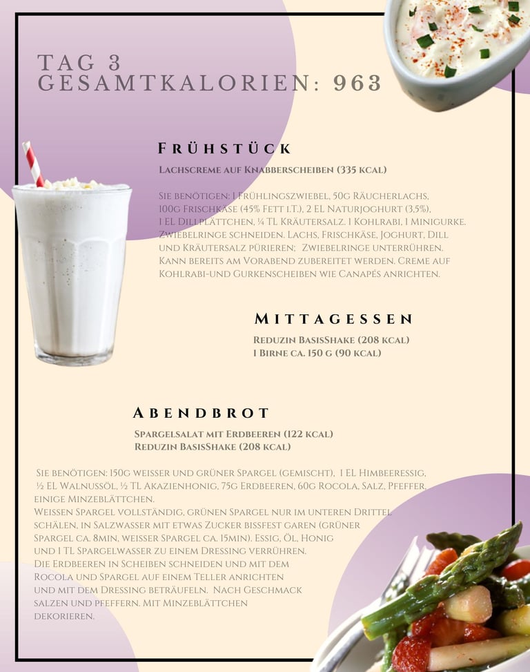 helenas diaetshop diaetplan für 1 woche mit reduzin diaetshake und michkostmahlzeiten tag 3
