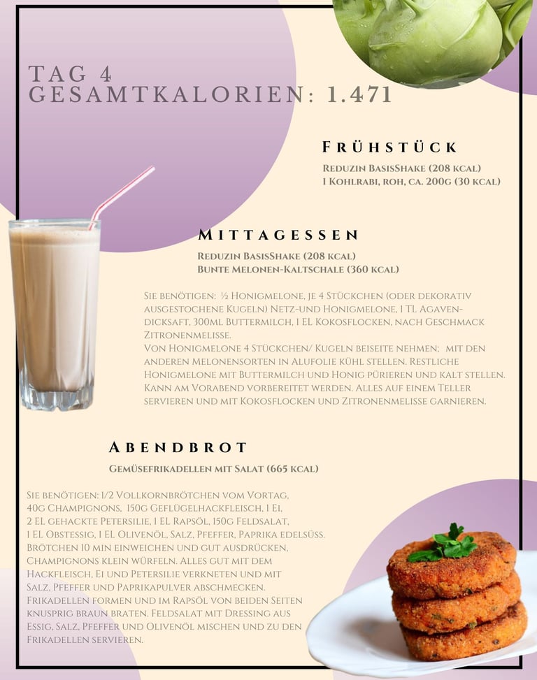 helenas diaetshop diaetplan für 1 woche mit reduzin diaetshake und mischkostmahlzeiten tag 4