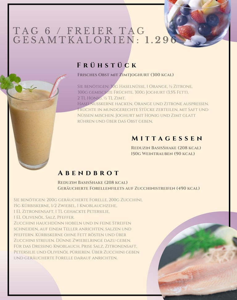 helenas diaetshop diaetplan für 1 woche mit reduzin diaetshake und mischkostmahlzeiten tag 6