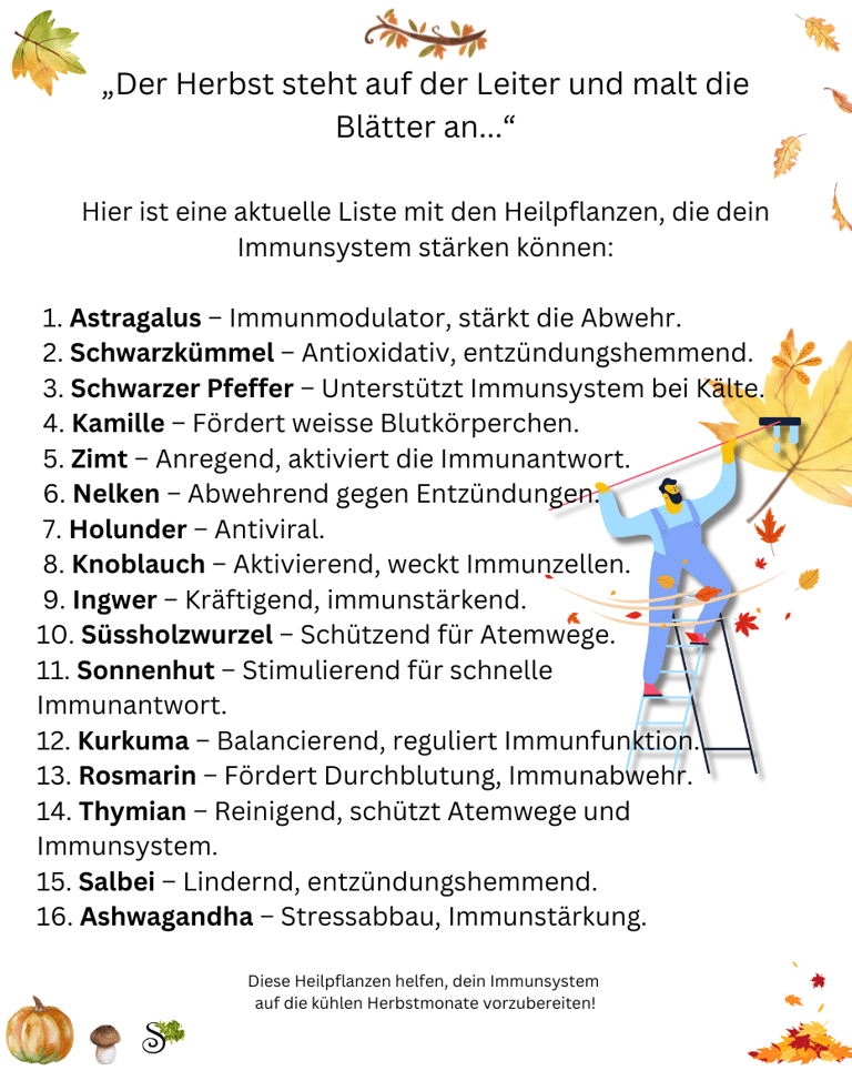 Heilpflanzen im Herbst - Sanapendium