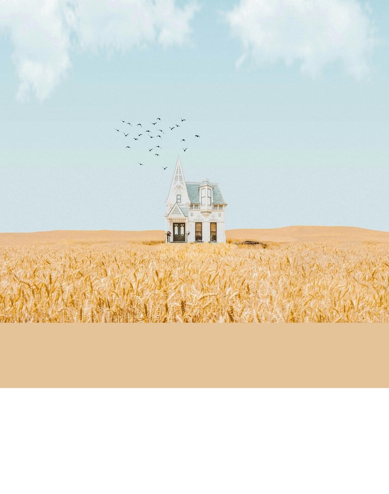 A house in a feild to represent BVG's commitment to a simple efficient Real Estate Transaction.
